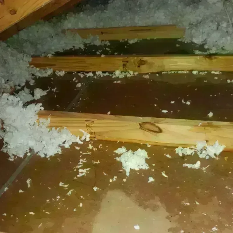 Attic Water Damage in Robins, IA