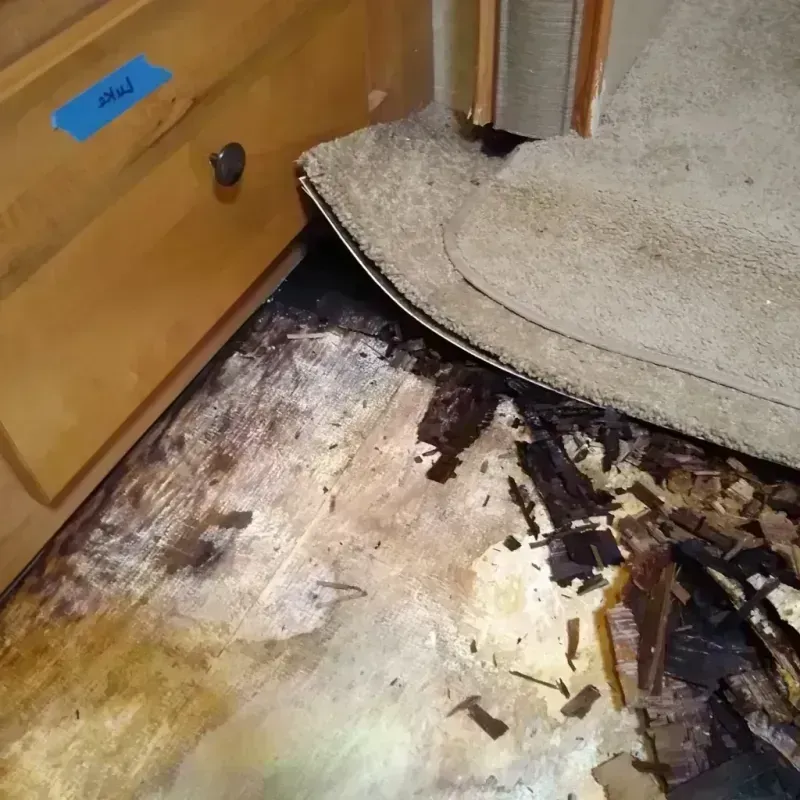 Best Wood Floor Water Damage Service in Robins, IA